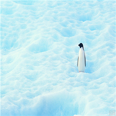 下雪天美照头像大全 高清雪景头像任你选
