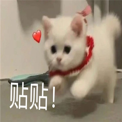 可爱又欠揍的表情包集合 鬼畜聊天必备