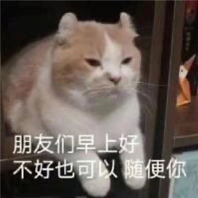 可爱又欠揍的表情包集合 鬼畜聊天必备