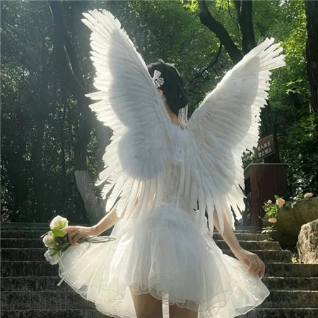 超美微信素材合集 多风格吸引人的精美配图