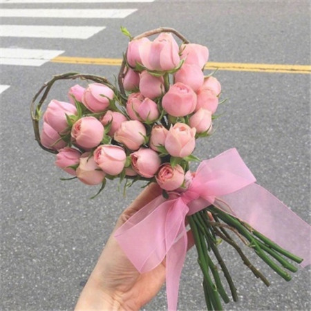"情人节唯美花束图片 2019浪漫鲜花高清图集"