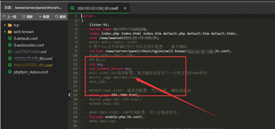 网站开启SSI/宝塔面板开启SSI功能/linux面板nginx开启ssi