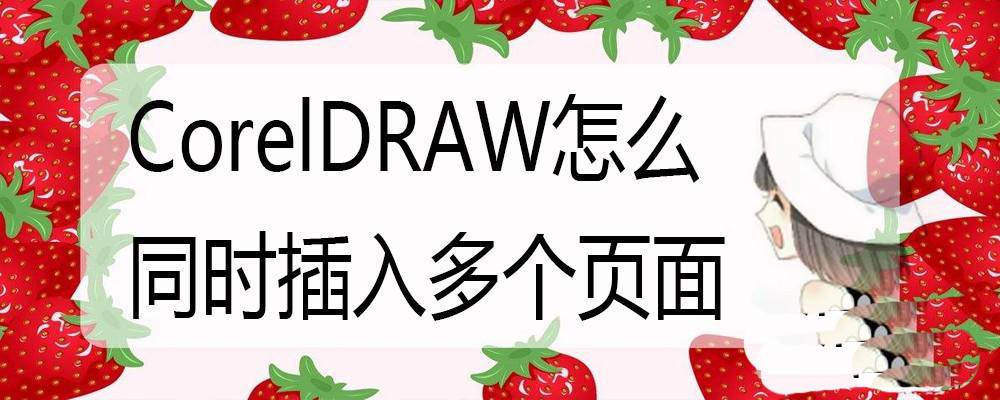 cdr怎么批量插入多个页面? cdr批量添加页面的技巧