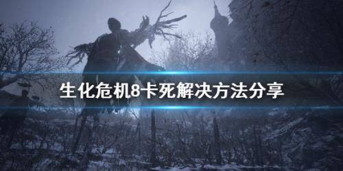 生化危机8经常卡死怎么办 生化危机8卡死解决方法