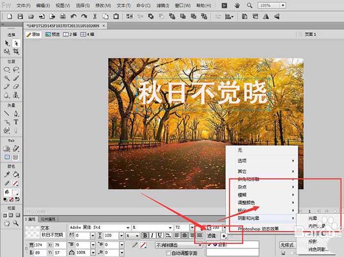 Fireworks图片中怎么输入文字?