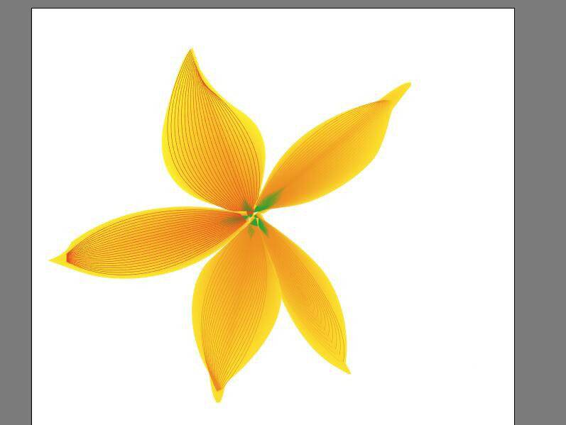 ai怎么手绘黄花铁线莲? ai小黄花矢量图的画法