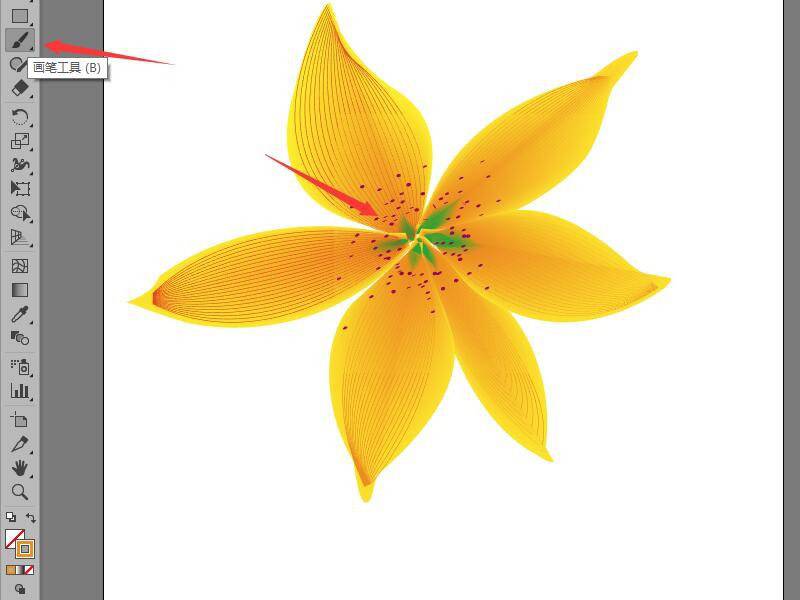 ai怎么手绘黄花铁线莲? ai小黄花矢量图的画法