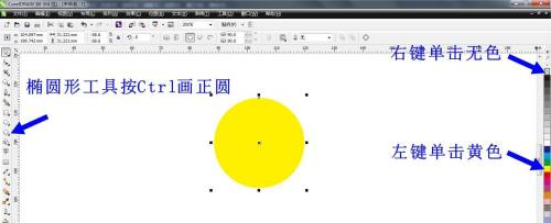 CorelDRAW X6如何绘制小雏菊？cdr x6绘制小雏菊教程