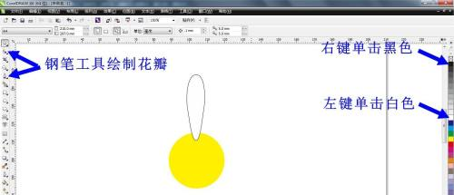 CorelDRAW X6如何绘制小雏菊？cdr x6绘制小雏菊教程