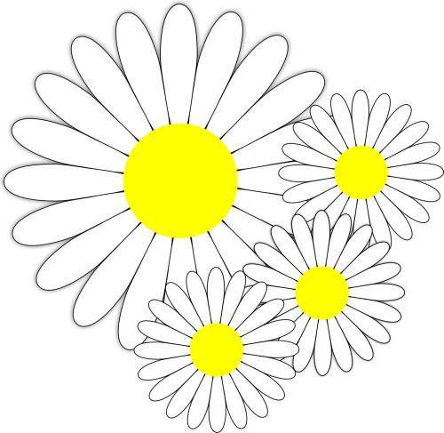 CorelDRAW X6如何绘制小雏菊？cdr x6绘制小雏菊教程